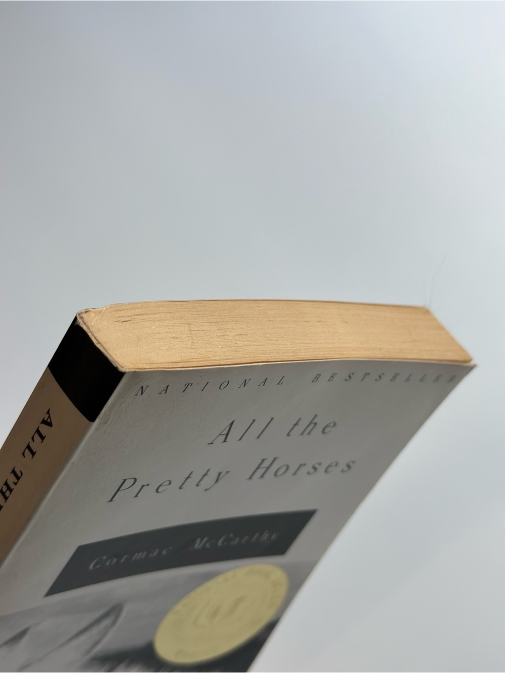 All the Pretty Horses by Cormac McCarthy | Fiction, Western | Paperback Book - Picture 5 of 7